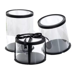 Round Cake Box Clear