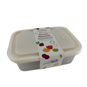Plastic Container Rectangle 4pc