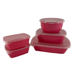 Plastic Lunchbox 5pc