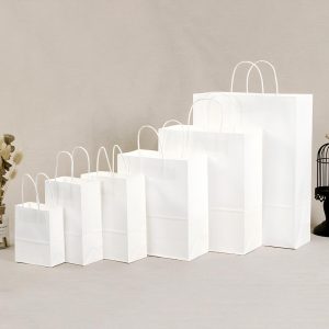 Kraft Bag with Rope Handle White 10's