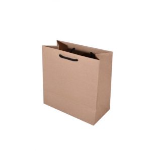 Kraft Bag+Handle 10's 150x278x280
