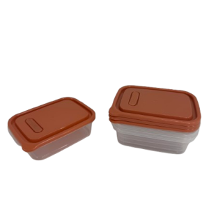 Plastic Container Rectangle 4pc