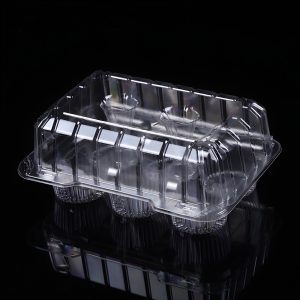 Plastic Cupcake Container