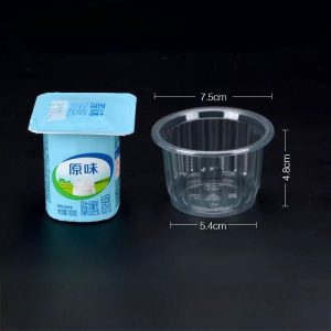 Plastic Ice Cream Tub 150ml 50's