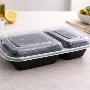 PP Takeaway Container 2 Division 22.6x15.5x4.3cm