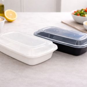 PP Takeaway Container 22.6x15.5x4cm