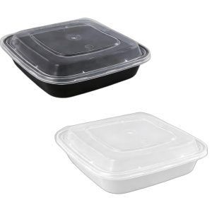 PP Takeaway Container 21.9x21.9x4.6cm