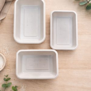 PP Takeaway Trays Assorted